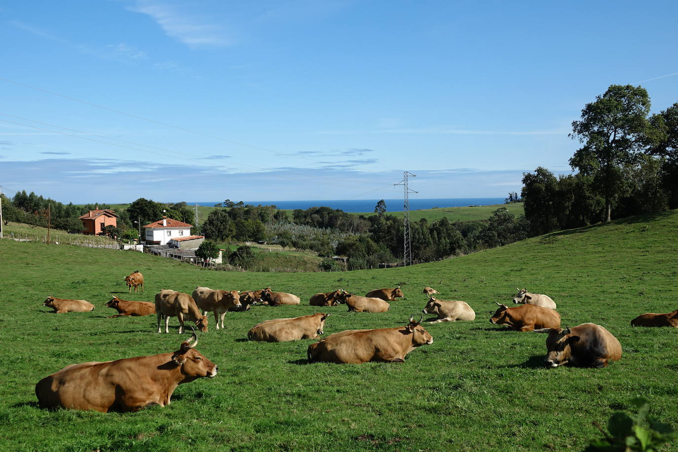 A medida que avanza el otoño, el oriente asturiano comienza a teñirse de amarillo, naranja y rojo. Aunque el verde resiste y el calor aún no quiere dar el testigo a los días más fríos.