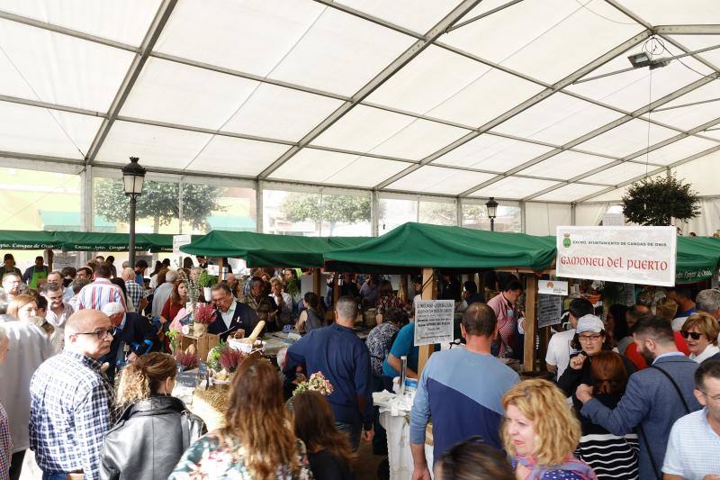 Fotos: Certamen del queso en Cangas y feria de la miel