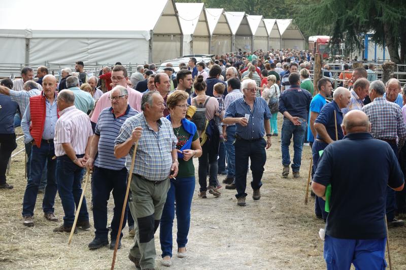 Más de 1.500 cabezas de ganado se han presentado en la feria de Santa Teresa de Infiesto, un certamen con gran ambiente que no ha conseguido importantes ventas.