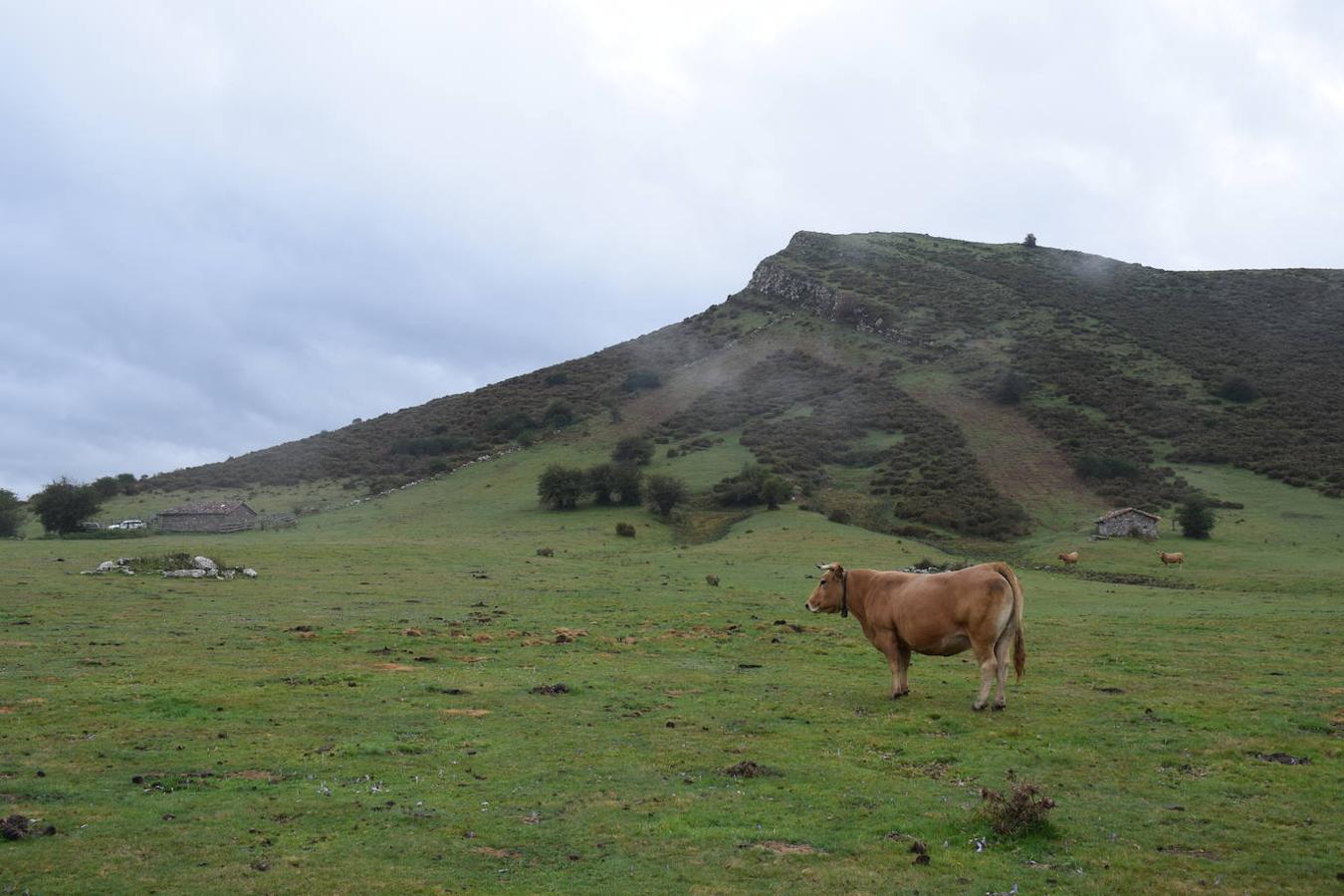 La ruta de las Brañas de Vicenturio y Cueiro es una ruta circular que nos conducirá por las grandes praderías en las que tradicionalmente los pastores dejaban el ganado durante todo el verano. Pasearemos por esta ruta foto a foto y por las partes más destacadas de su recorrido.