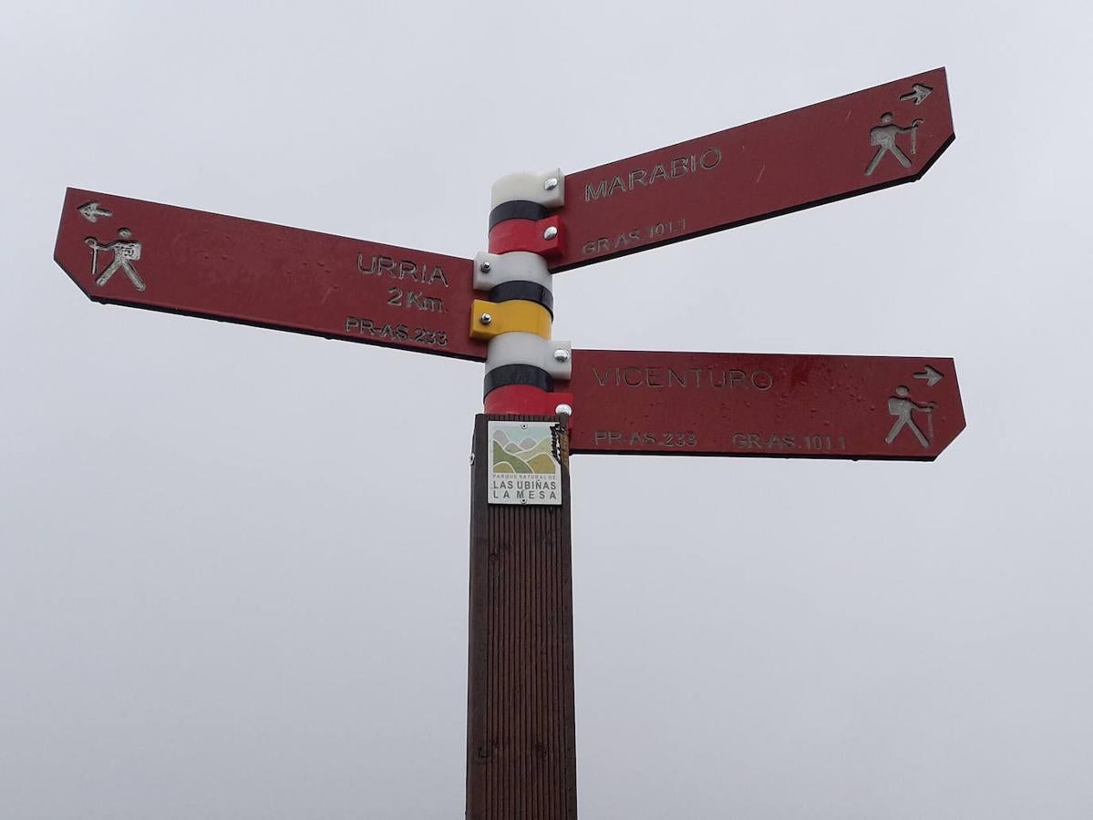 La ruta de las Brañas de Vicenturio y Cueiro es una ruta circular que nos conducirá por las grandes praderías en las que tradicionalmente los pastores dejaban el ganado durante todo el verano. Pasearemos por esta ruta foto a foto y por las partes más destacadas de su recorrido.