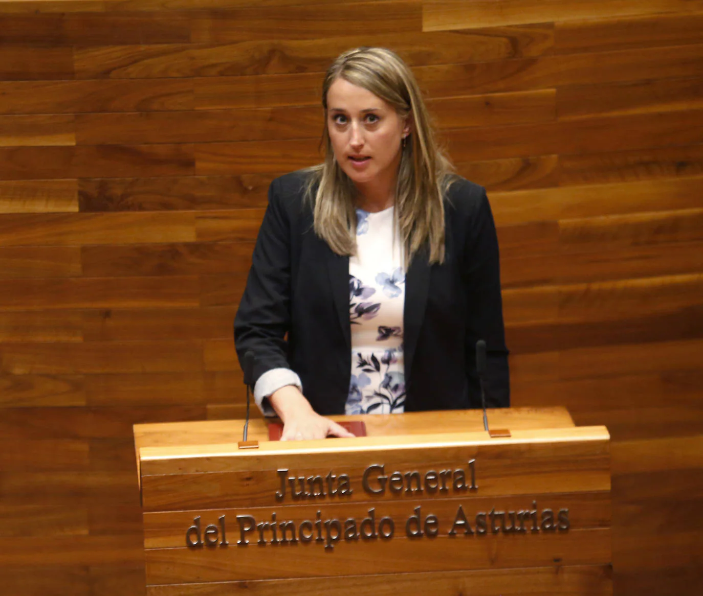 Cristina Vega. Diputada con dedicación exclusiva (PP Occidente). 4.627,2 euros (bruto al mes).