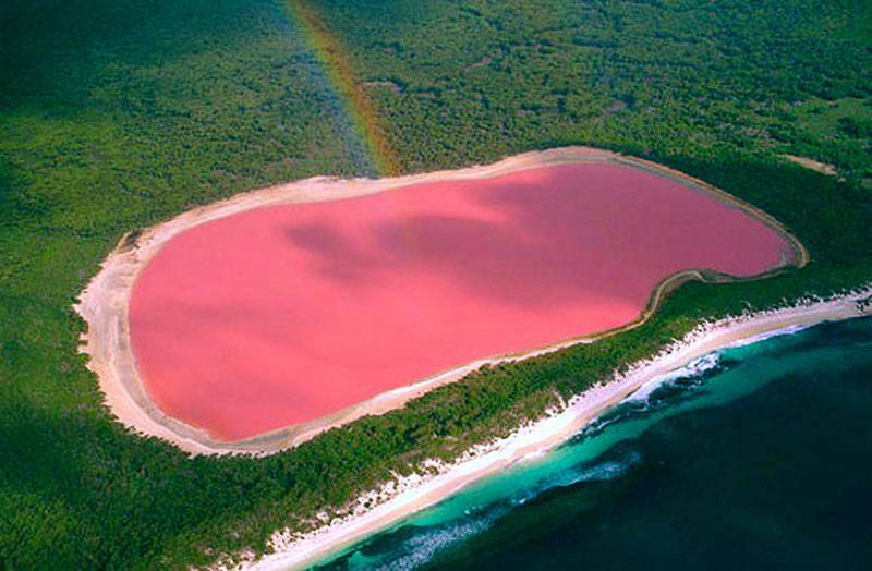 Lago Hillier (Australia) | Su color rosa es permanente y no cambia ni aunque metas el agua en un recipiente. Aunque no se sabe con certeza a qué se debe, se baraja que pueda ser por algún tipo de bacterias en su composición.