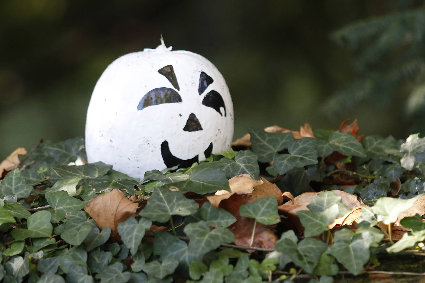 El espacio divulgativo celebra hasta el 3 de noviembre un conjunto de actividades dedicadas al otoño y a las tradiciones del Día de Difuntos. 