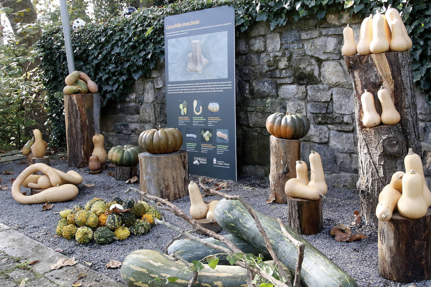 El espacio divulgativo celebra hasta el 3 de noviembre un conjunto de actividades dedicadas al otoño y a las tradiciones del Día de Difuntos. 