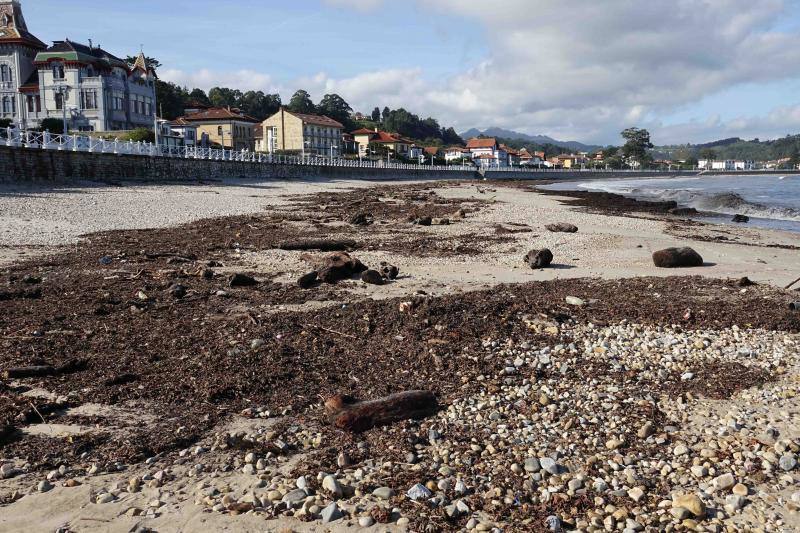 El temporal de los últimos días en el oriente asturiano ha dejado una marea de residuos en playas como la de Santa Marina, en Ribadesella. 