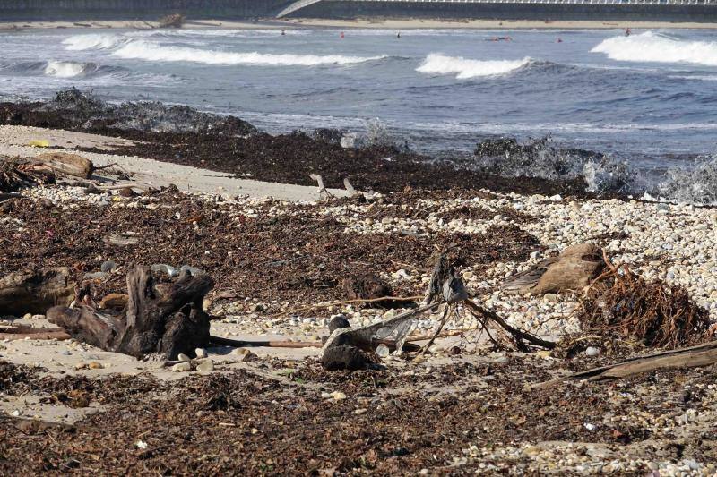 El temporal de los últimos días en el oriente asturiano ha dejado una marea de residuos en playas como la de Santa Marina, en Ribadesella. 