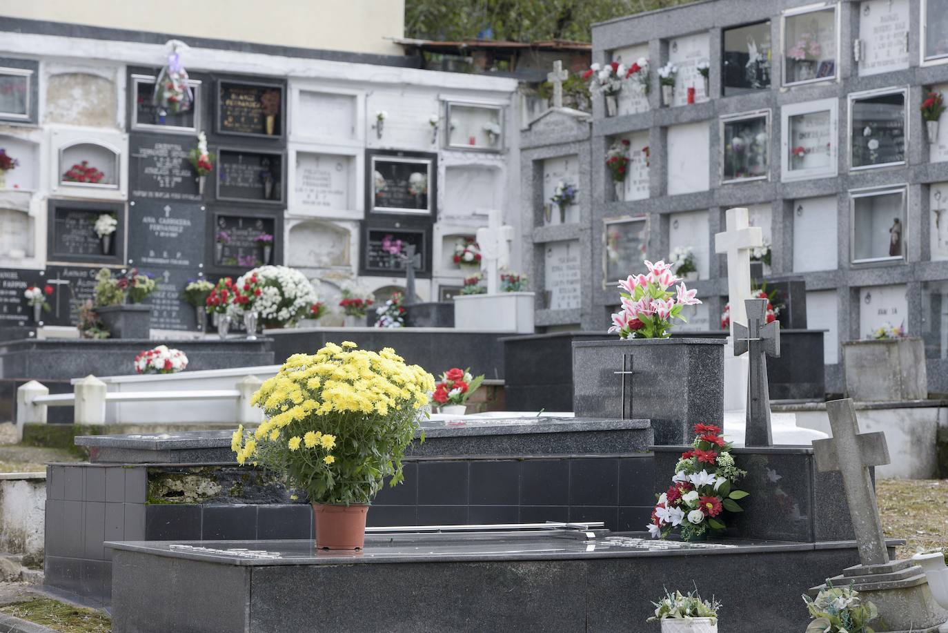 Los familiares de los difuntos que yacen en los cementerios de La Manjoya, Tudela Veguín, Olloniego y Trubia ya han comenzado a acudir a los sepulcros. 