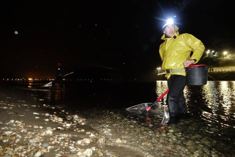 Setenta anguleros participarán este año en la campaña de la angula en la costa oriental asturiana. 