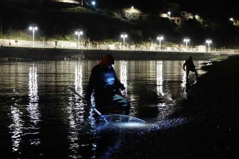 Setenta anguleros participarán este año en la campaña de la angula en la costa oriental asturiana. 