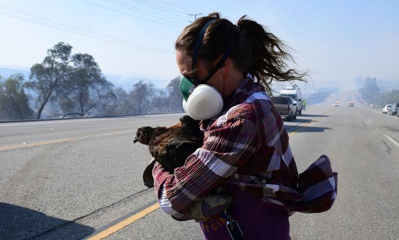 El sur de California lleva días siendo arrasada por varios incendios forestales que los bomberos tratan de contener.