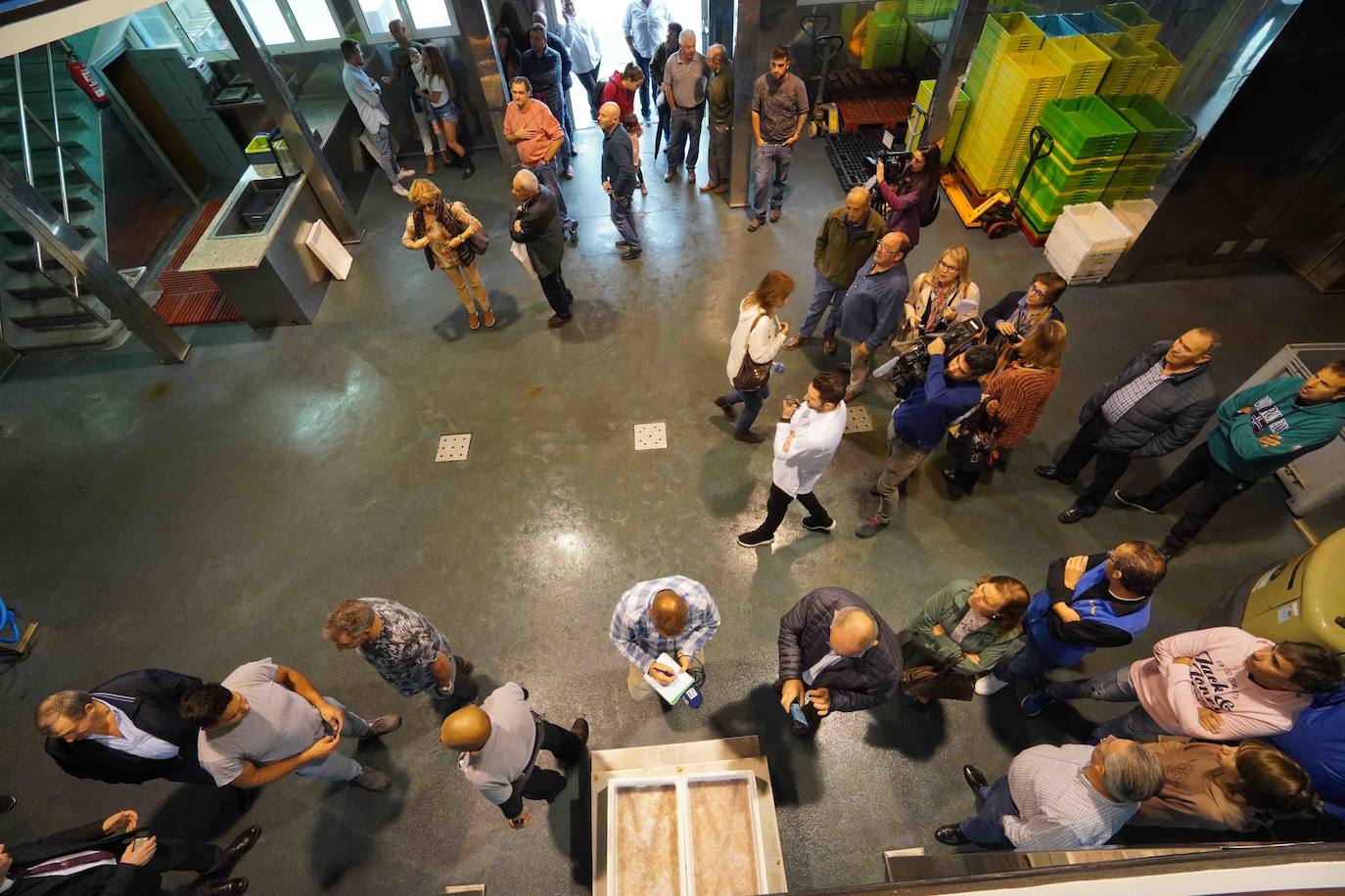 6.260 euros. Es lo que se ha pagado por la primera angula de la temporada en la rula de Ribadesella. Los 2,5 primeros kilos han sido adquiridos por los restaurantes riosellanos El Campanu y La Ría del Campanu.