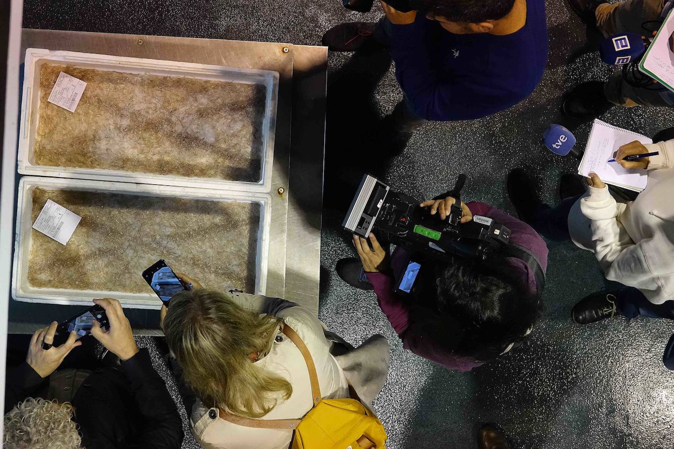 6.260 euros. Es lo que se ha pagado por la primera angula de la temporada en la rula de Ribadesella. Los 2,5 primeros kilos han sido adquiridos por los restaurantes riosellanos El Campanu y La Ría del Campanu.