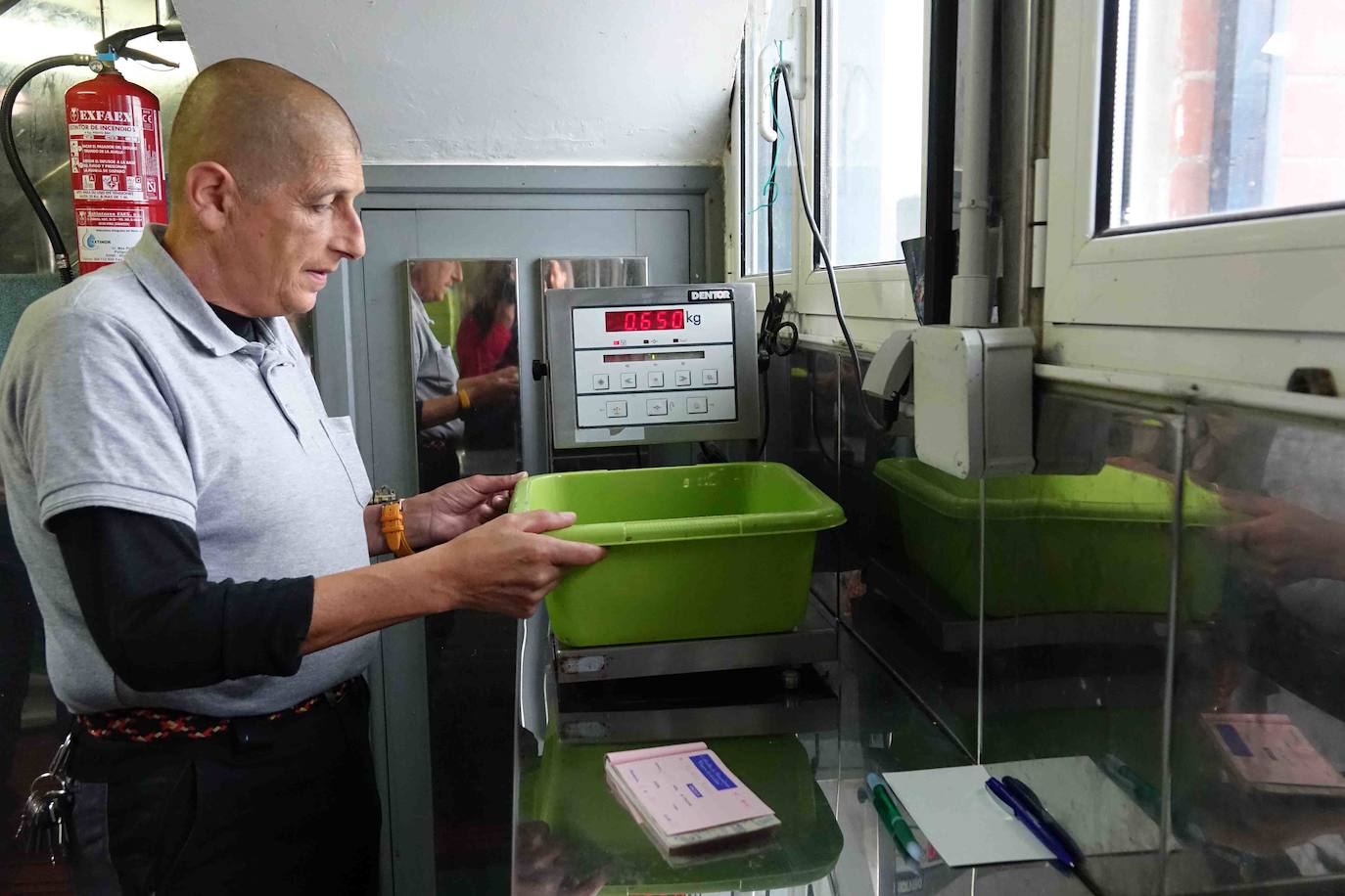 6.260 euros. Es lo que se ha pagado por la primera angula de la temporada en la rula de Ribadesella. Los 2,5 primeros kilos han sido adquiridos por los restaurantes riosellanos El Campanu y La Ría del Campanu.