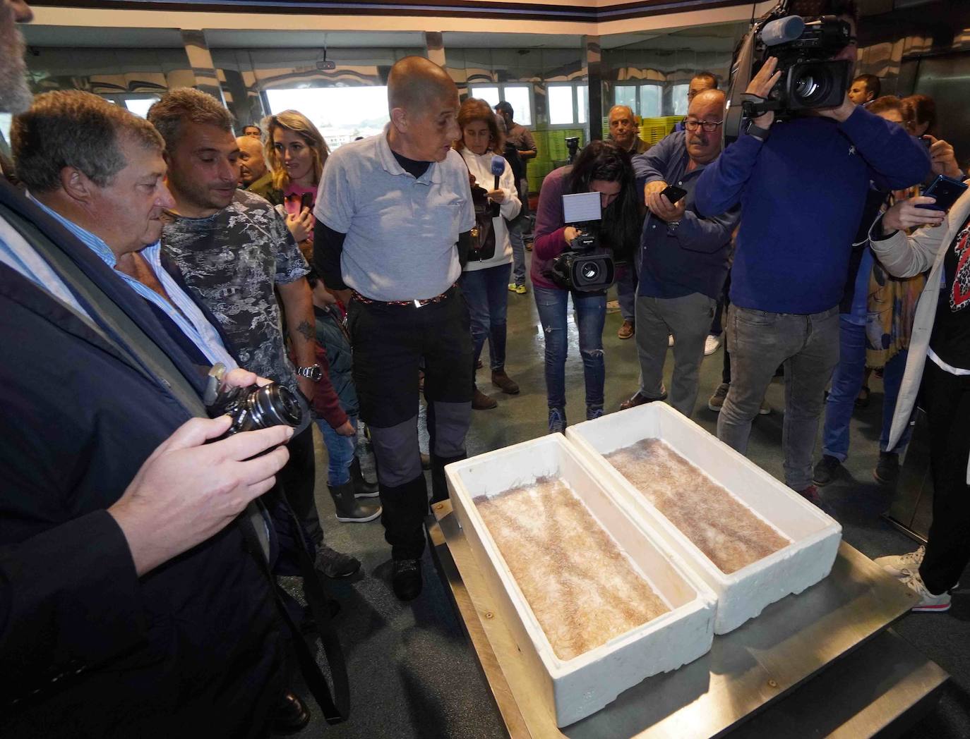 6.260 euros. Es lo que se ha pagado por la primera angula de la temporada en la rula de Ribadesella. Los 2,5 primeros kilos han sido adquiridos por los restaurantes riosellanos El Campanu y La Ría del Campanu.