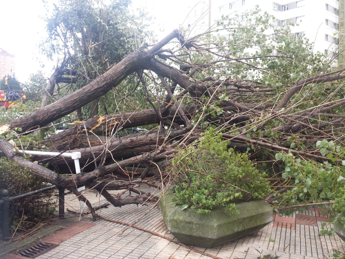 Fotos: La borrasca &#039;Amelie&#039; causa daños materiales en Gijón