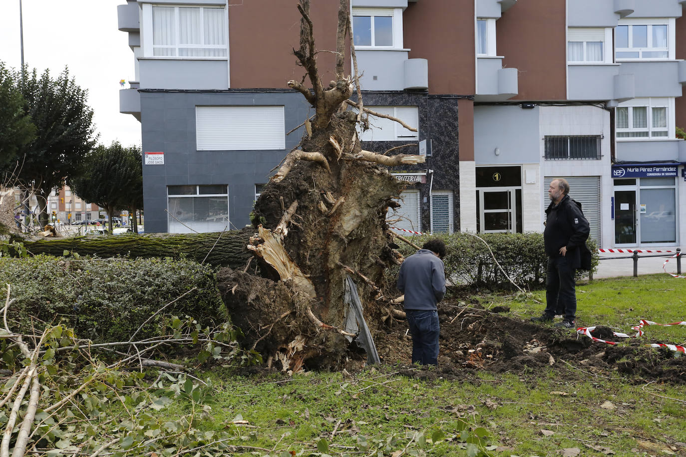 Fotos: La borrasca &#039;Amelie&#039; causa daños materiales en Gijón