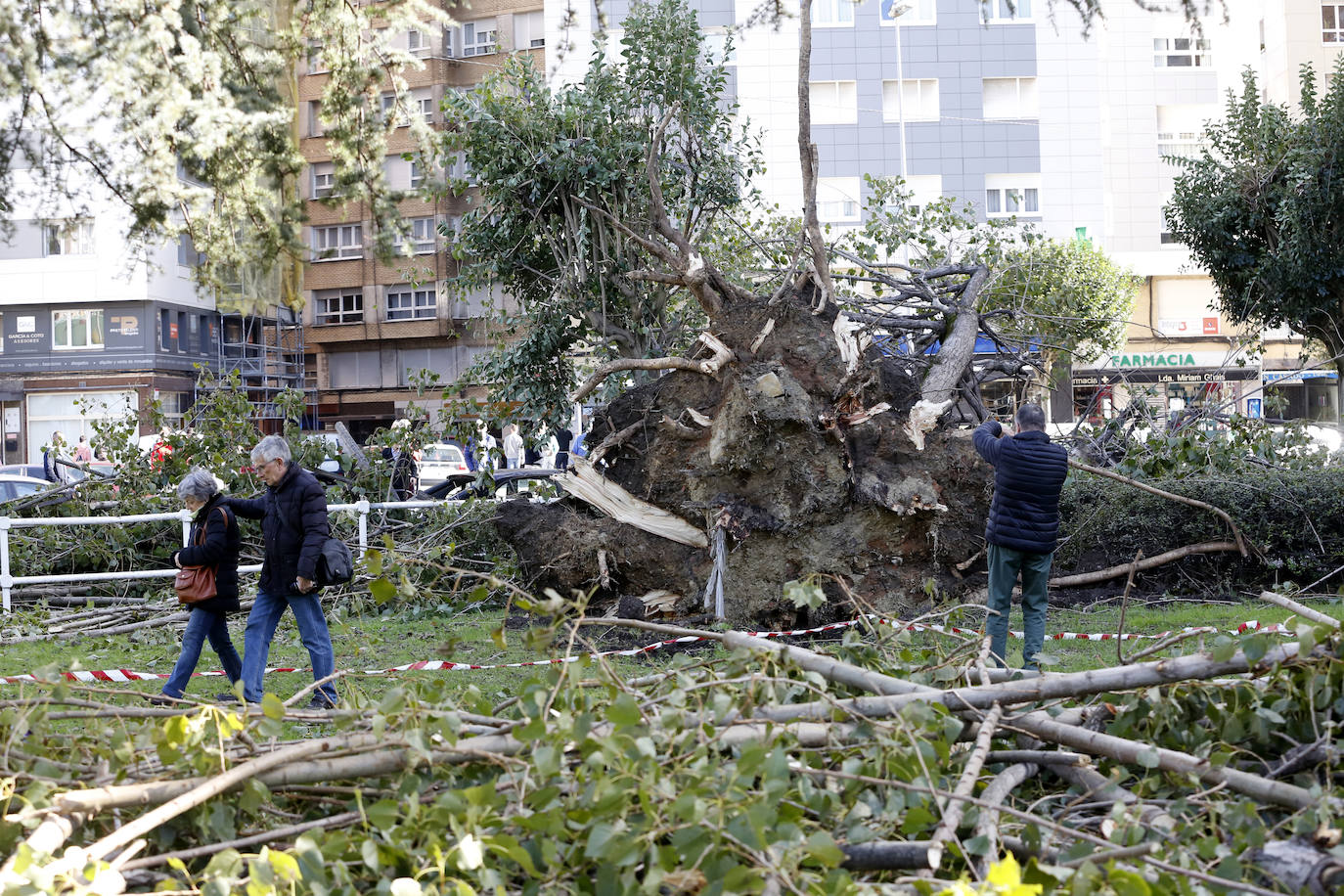 La borrasca 'Amelie' que azota la cornisa Cantábrica ha dejado rachas de hasta 130 kilómetros por hora en Asturias, lo que ha provocado numerosos incidentes en la región, sobre todo, árboles caídos.