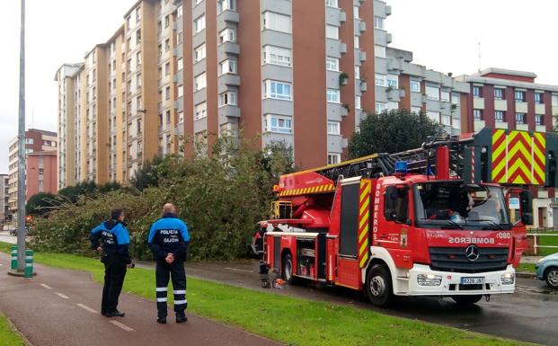 Imagen principal - Arriba, un árbol corta la avenida Carlos Marx de Gijón. Abajo, un árbol sobre varios coches en Lugones y daños en Viesques.