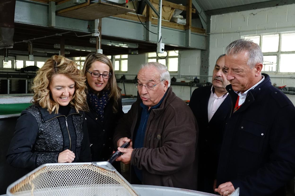 Teresa Mallada, Cristina Vega, Antón Caldevilla, Javier Brea y José Felgueres, ayer en el centro de alevinaje de Romillu.. 