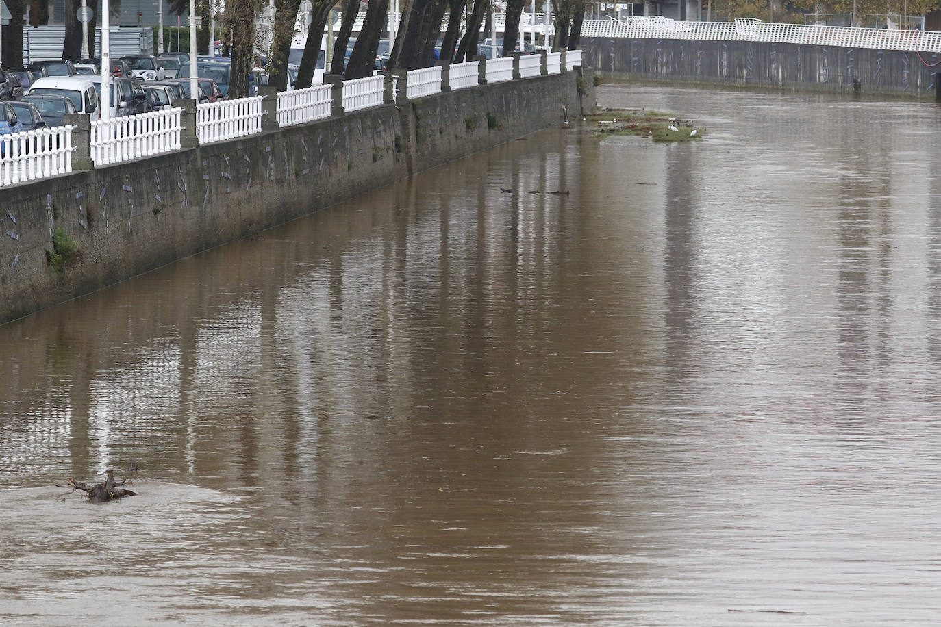 El temporal que azota Asturias ha ocasionado que la bahía de San Lorenzo apareciera este viernes con agua de color marrón, procedente del río Piles y del arrastre de las aguas de escorrentía, lo que se unió a una mar muy revuelta