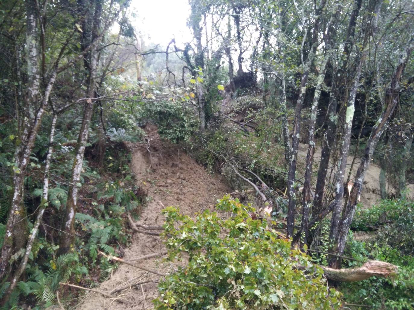 Un argayo de grandes dimensiones ha cortado el acceso a playa España, en Villaviciosa.