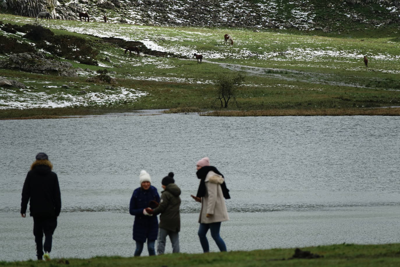 El viento del sur y la intensa lluvia provocaron la desaparición de nieve en el entorno de los Lagos de Covadonga pero favorece la aparición de otros tesoros como el desconocido tercer lago, 'El Bricial'.