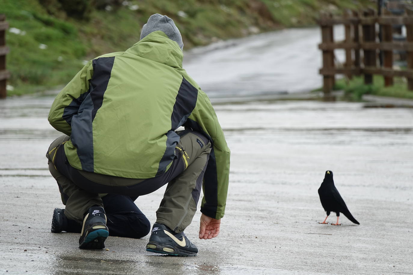 El viento del sur y la intensa lluvia provocaron la desaparición de nieve en el entorno de los Lagos de Covadonga pero favorece la aparición de otros tesoros como el desconocido tercer lago, 'El Bricial'.