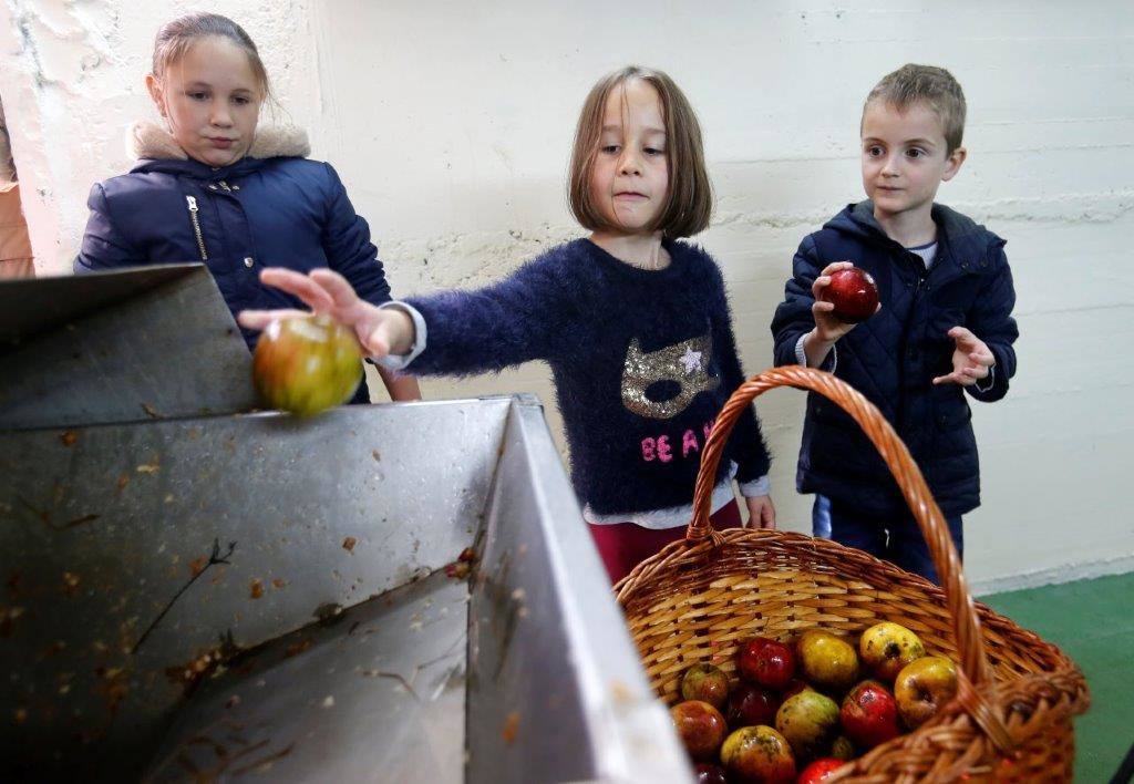 Sidra desde pequeños