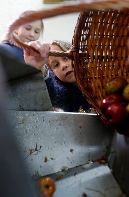 Sidra desde pequeños