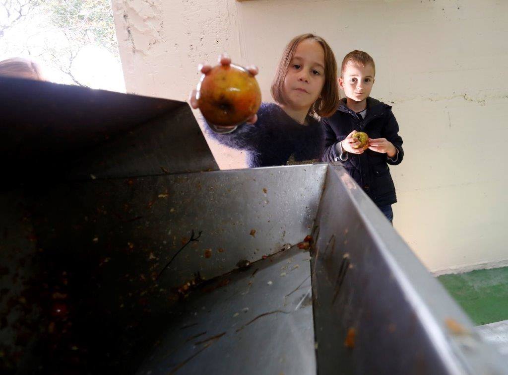 Sidra desde pequeños