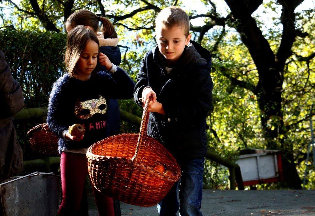 Sidra desde pequeños