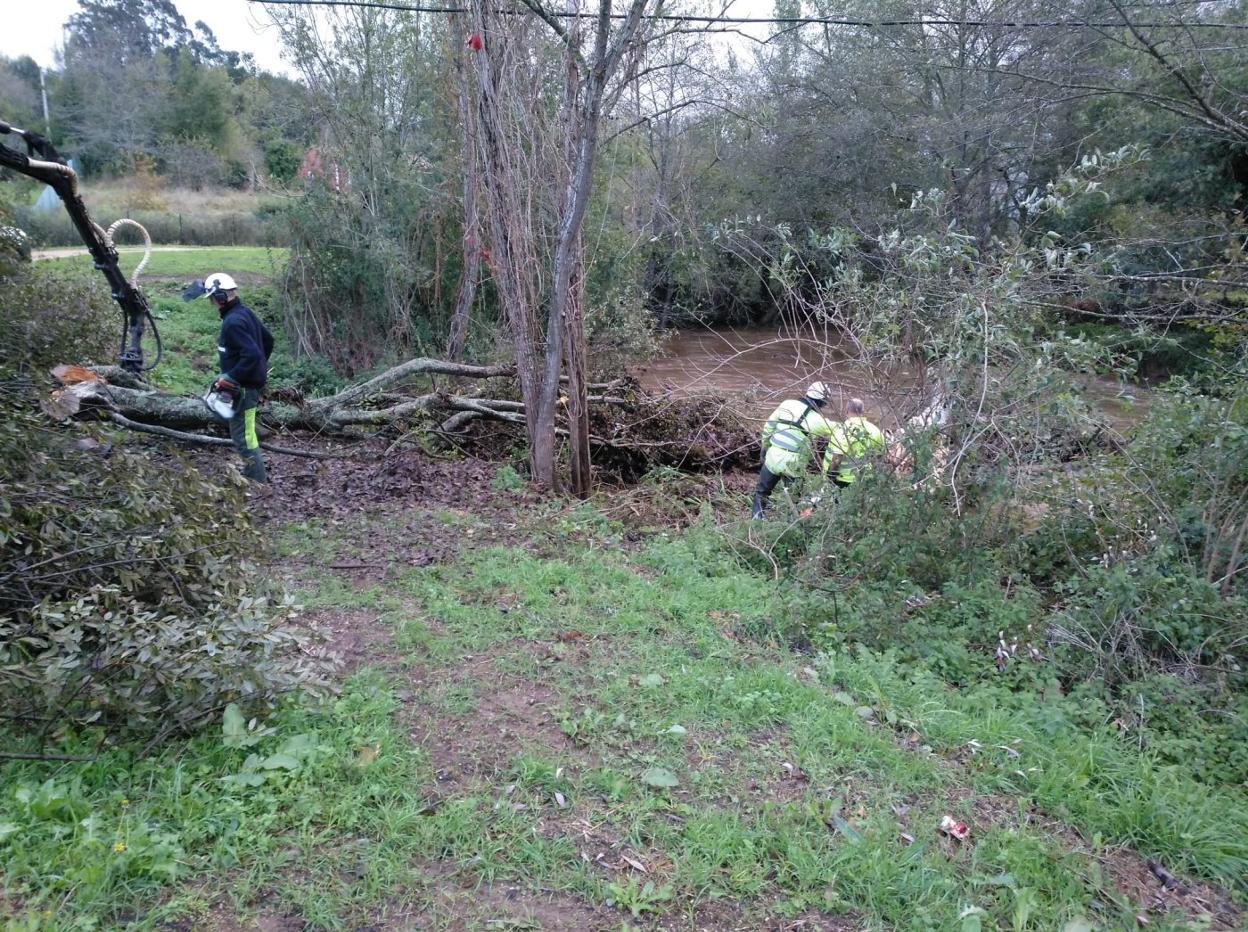 Los operarios trabajan en la limpieza del río. 