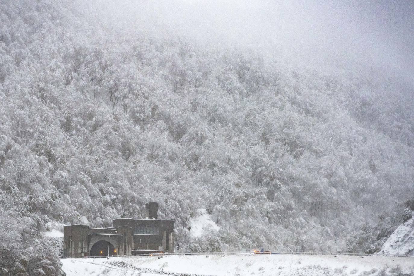 La nieve acumulada obliga a circular con cadenas en varios puertos de montaña y carreteras secundarias de la región. Además, las fuertes lluvias caídas estos días han provocado el corte de la carretera de San San Esteban de Cuñaba, en Peñamellera Baja, por un argayu.