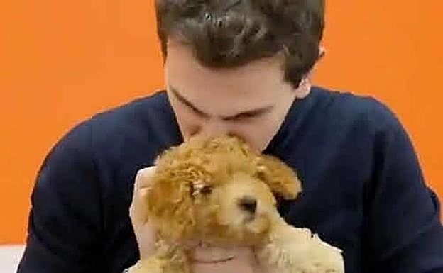 El 'no es no' de Rivera a Sánchez