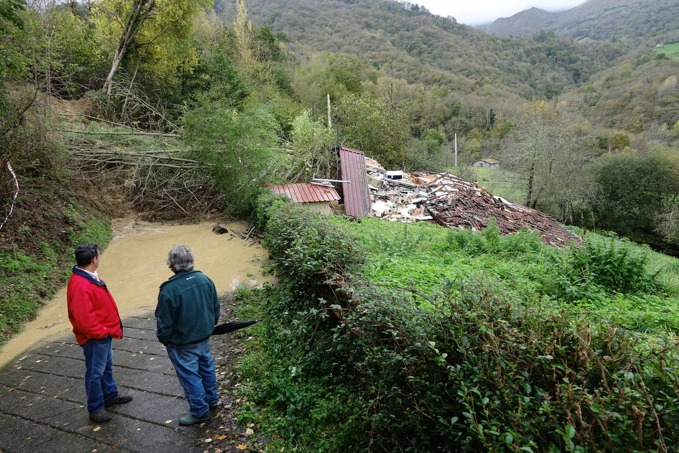 Las intensas lluvias han provocado argayos en Cangas de Onís, Cirieño, Poncebos y en Degaña. Además, se han desbordado los ríos Nalón y Trubia. 