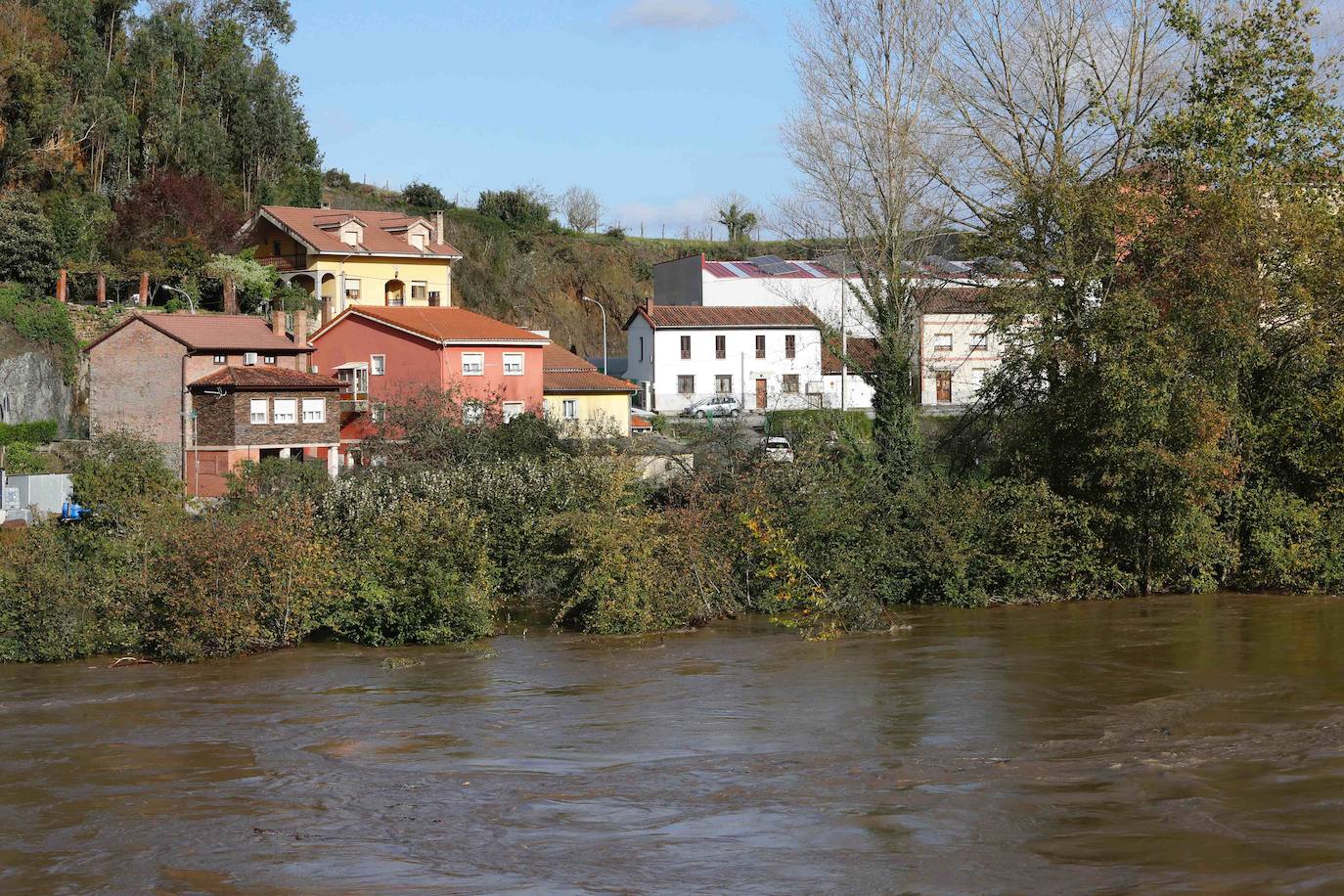 Las intensas lluvias han provocado argayos en Cangas de Onís, Cirieño, Poncebos y en Degaña. Además, se han desbordado los ríos Nalón y Trubia. 