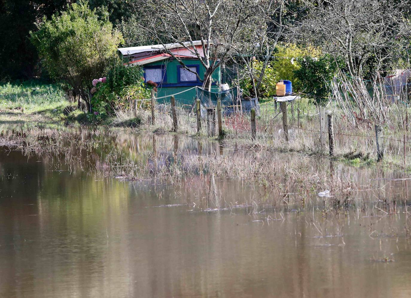 Las intensas lluvias han provocado argayos en Cangas de Onís, Cirieño, Poncebos y en Degaña. Además, se han desbordado los ríos Nalón y Trubia. 