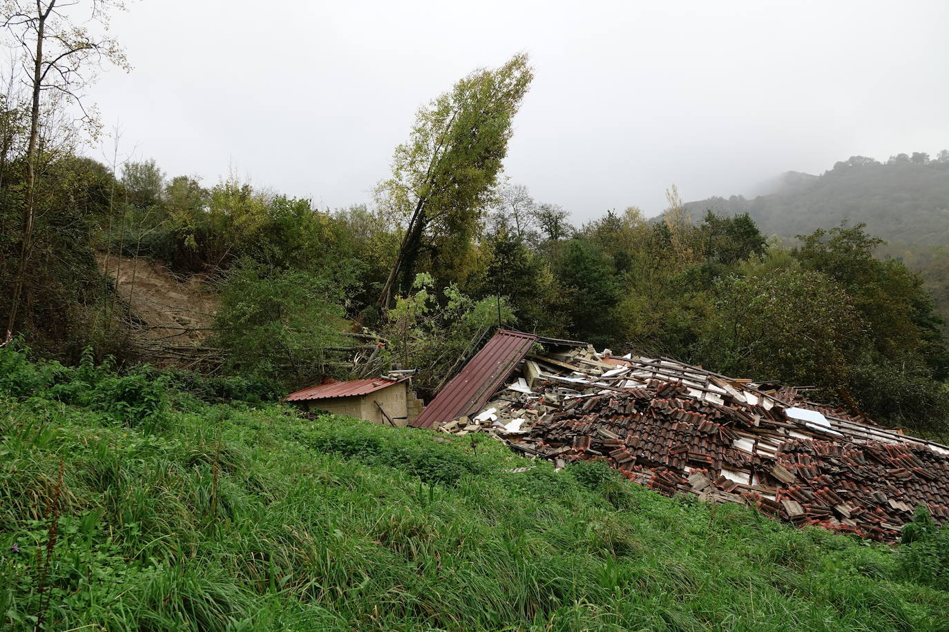 Un argayu ha sepultado una casa habitada en la localidad de Cirieño, en Amieva. Por fortuna, su inquilina, una mujer de 72 años, no se encontraba en la vivienda.