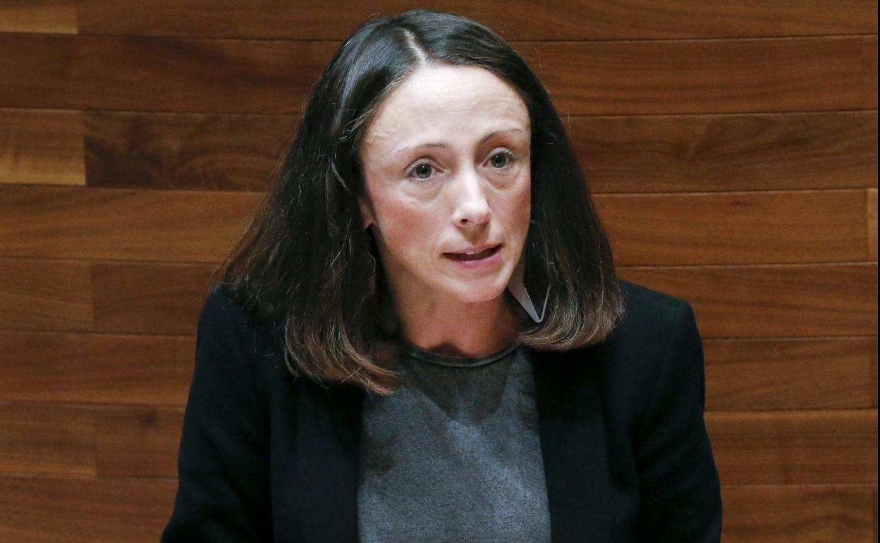 La consejera de Derechos Sociales y Bienestar, Melania Álvarez, durante su intervención en la Junta General. 