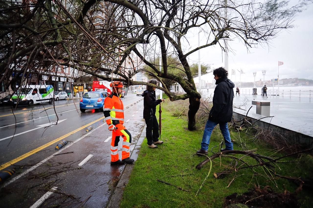 Fotos: Los destrozos que deja el temporal en Gijón