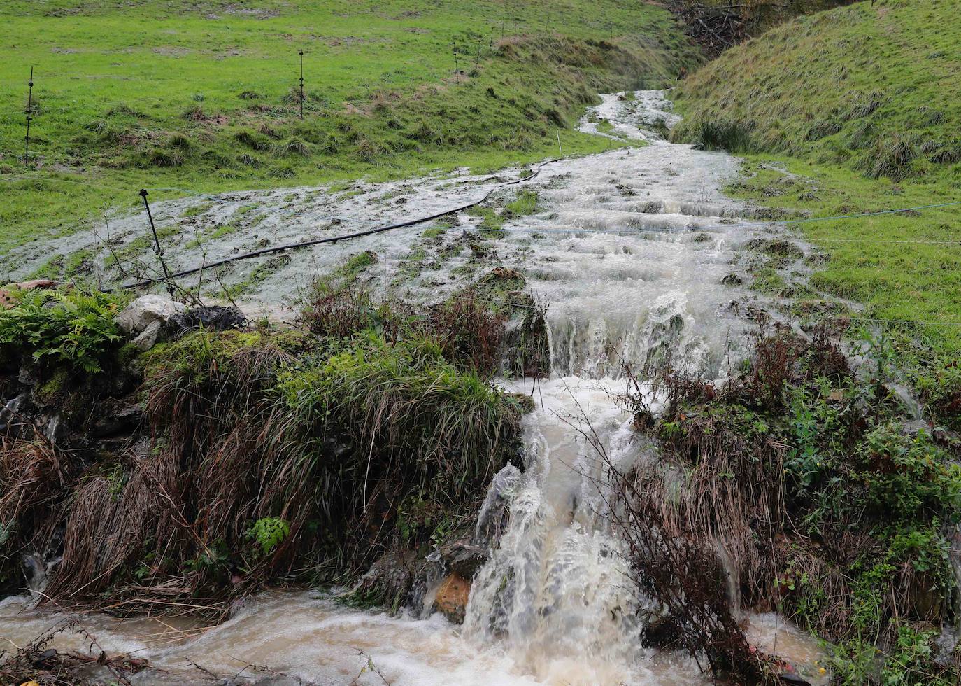 Las fuertes lluvias registradas en las últimas horas en Asturias han provocado dos desprendimientos de tierra en Villazón (Salas), uno de los cuales ha afectado a parte de una vivienda sin causar heridos, y el otro ha destrozado una nave y provocado la muerte de varios animales