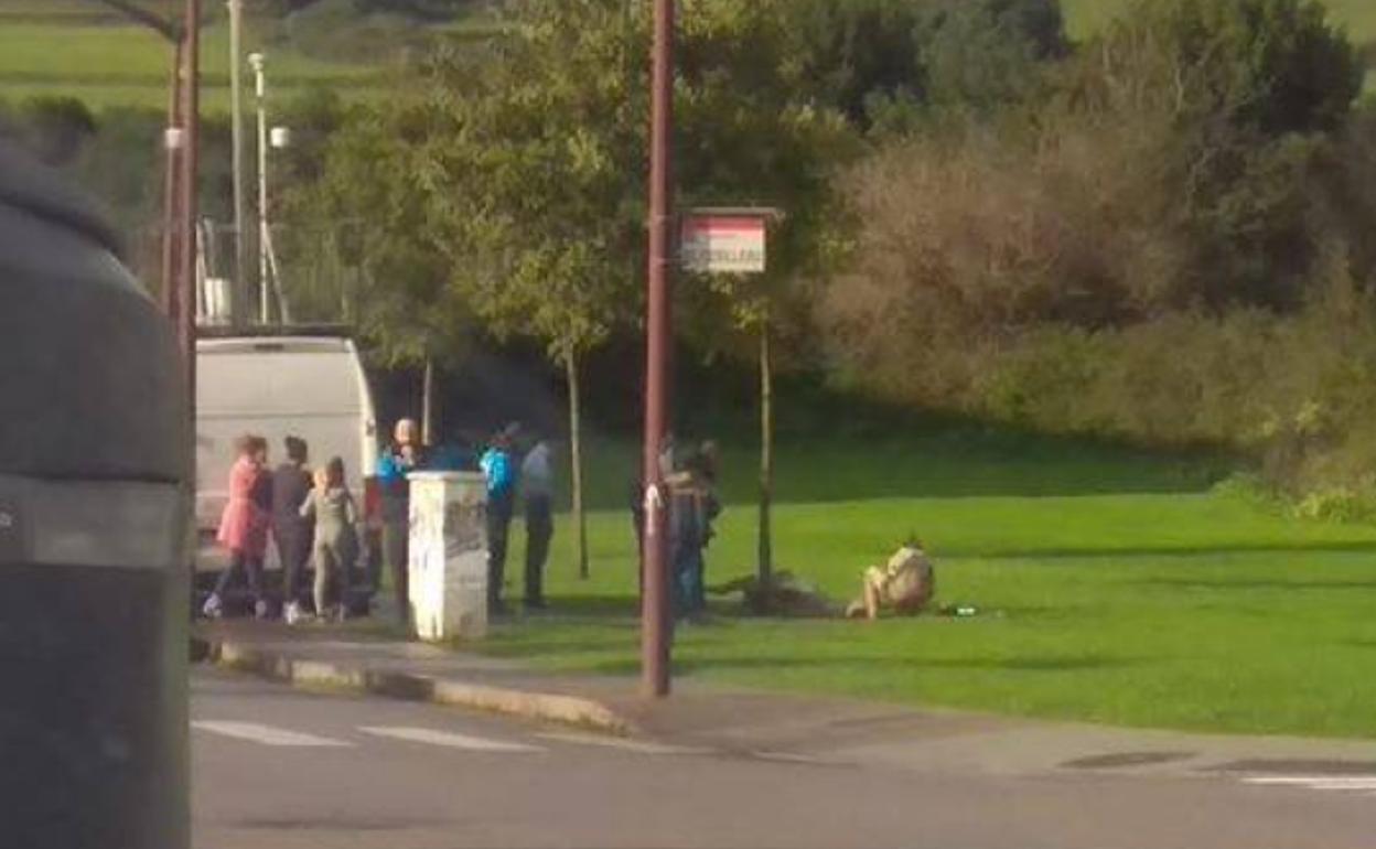 Sacrifican a un caballo en el parque de El Lauredal de Gijón