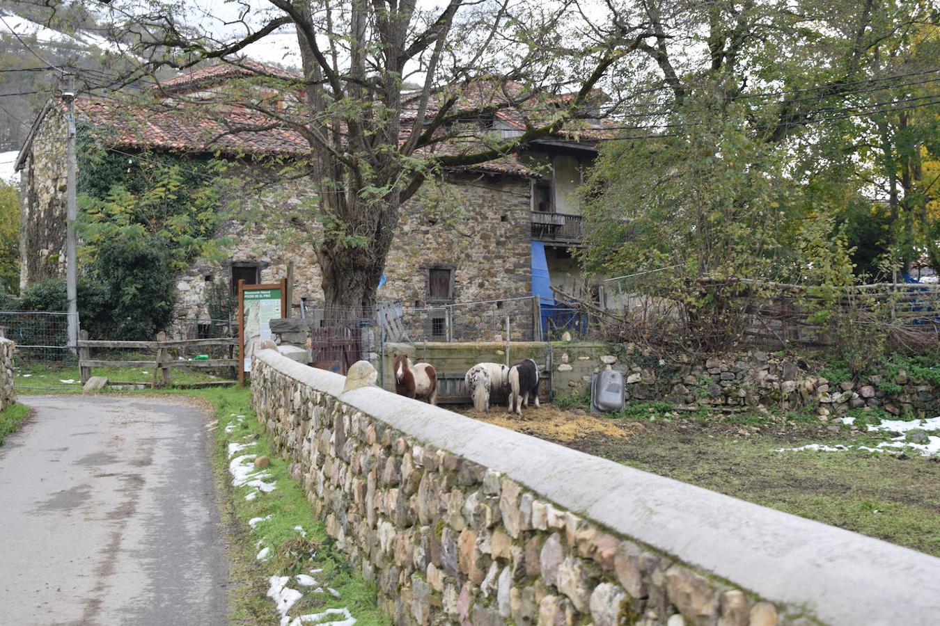 Fotos: Un paseo con nieve por la Senda Verde Foyoso