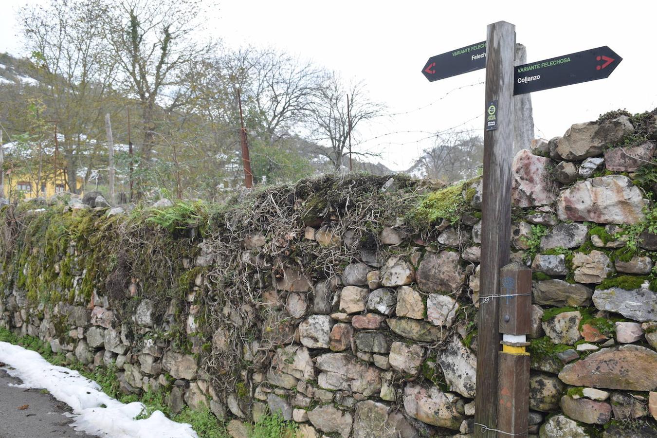 Fotos: Un paseo con nieve por la Senda Verde Foyoso