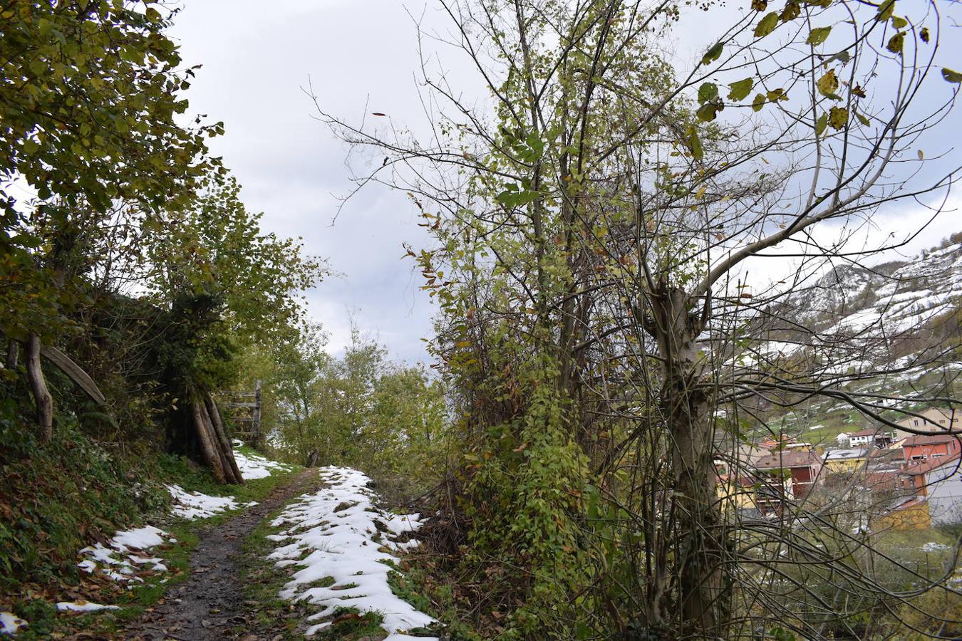 Fotos: Un paseo con nieve por la Senda Verde Foyoso