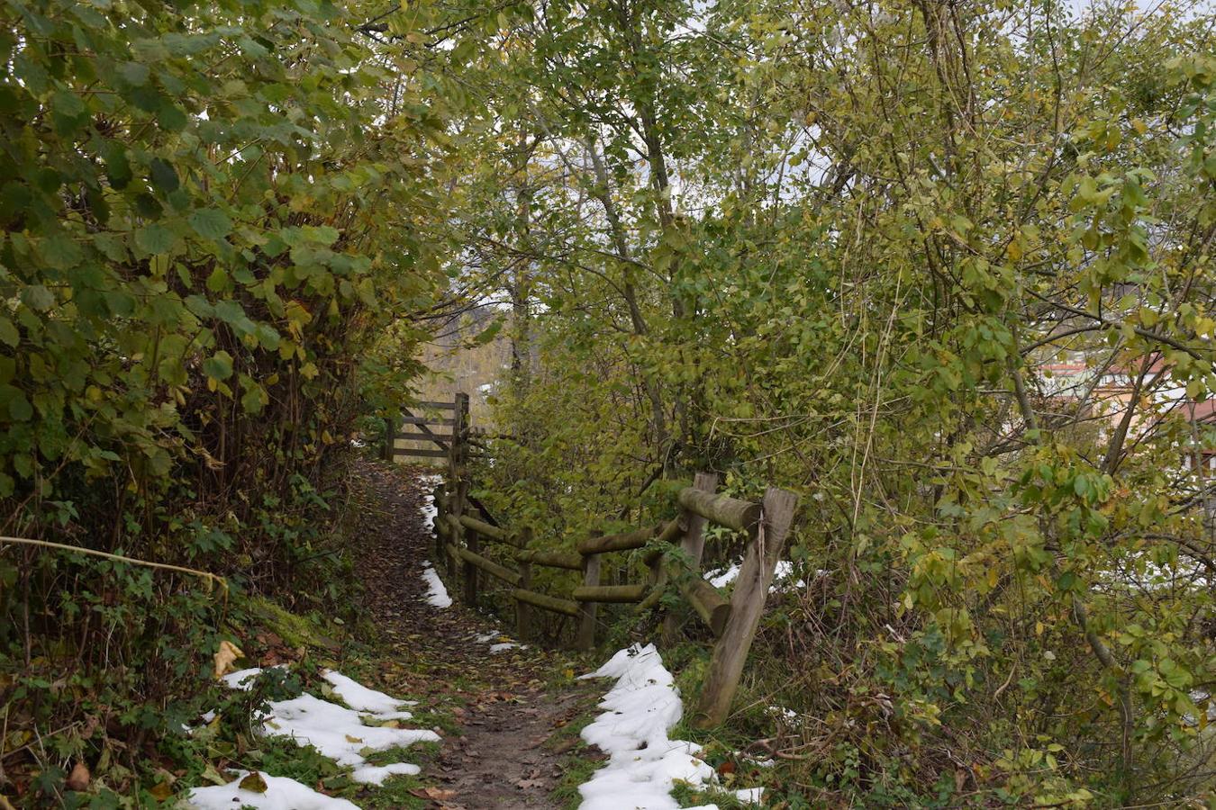 Fotos: Un paseo con nieve por la Senda Verde Foyoso