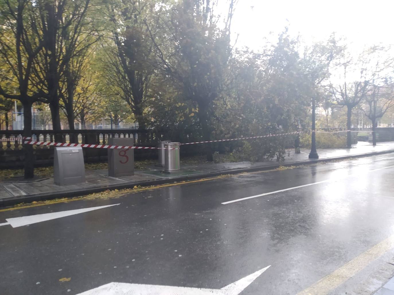 El paso de la borrasca 'Cecilia' por el Cantábrico ha dejado esta noche en Asturias fuertes rachas de viento y abundante lluvia