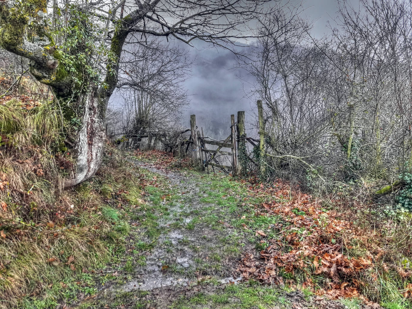De Oriente a Occidente, entre playas y montañas, estas son algunas de las mejores escenas presentadas al concurso de fotografía 'Escenas de Asturias' de EL COMERCIO con el patrocinio de El Gaitero 