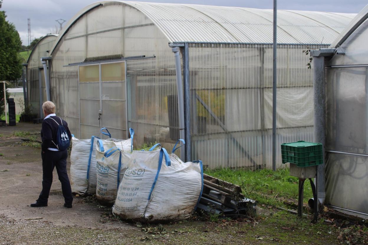 Una trabajadora pasa junto a los invernaderos del Serida en Villaviciosa, con 30 años de antigüedad. 